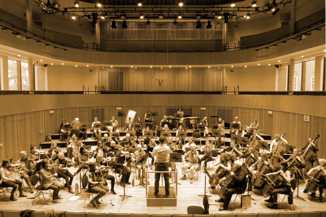 Image of the whole orchestra